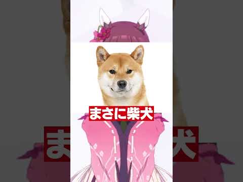 いろいろと犬すぎてもはやイヌ娘なウマ娘 #shorts