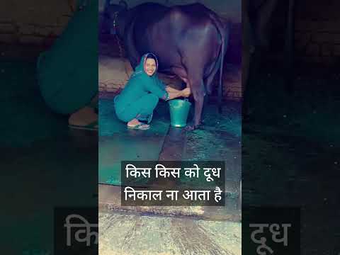 Dudh Dahi kaa desh humara #viral shorts #