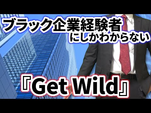 【替え歌】社畜にしかわからないGet Wild/TM NETWORK