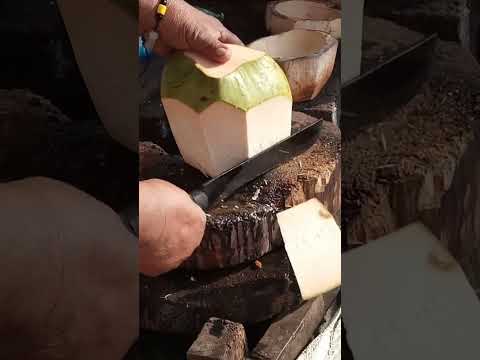 perfect coconut cutting skills Asmr #satisfying #asmrsounds #cuttingskills #streetfood #Gatchie Jr