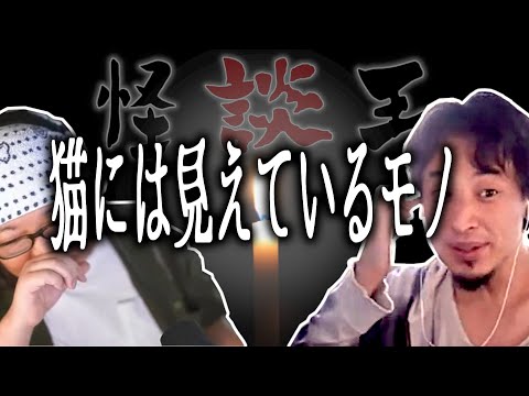 【怪談王】五人目・猫には見えているモノ【ひろゆき流切り抜き】