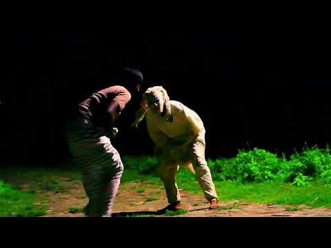 Scary Ghost Prank at Night 2023 (Part 17) | Funny Prank Videos | 4-Minute Fun