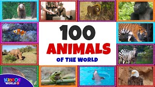 100 Animals of the World - Learning the Different Names and Sounds of the Animal Kingdom