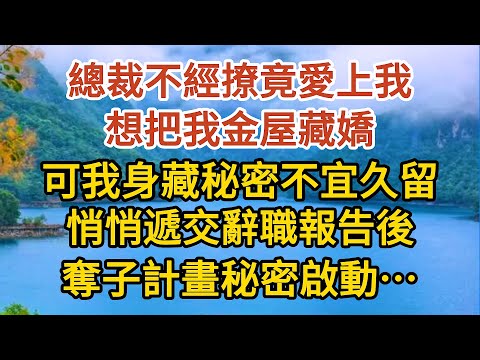 《BB被搶後》第07集：總裁不經撩竟愛上我，想把我金屋藏嬌，可我身藏秘密不宜久留，悄悄遞交辭職報告後，奪子計畫秘密啟動……#婚姻#情感故事#甜寵#故事#小說#霸總