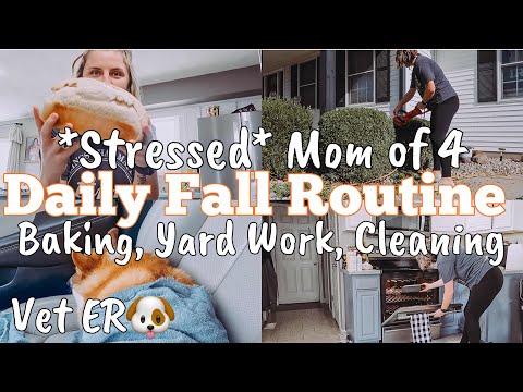 BUSY MOM OF 4 DAILY FALL ROUTINE | STRESSFUL VET ER VISIT | ELEGEAR | DAY IN THE LIFE | MEGA MOM