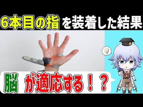 第三の親指!? 6本目のロボット指を付けてみた結果，脳に変化が!?[Rue]Third Thumb six finger project