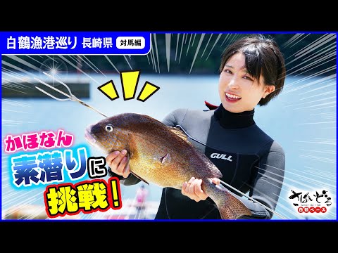 対馬の海で素潜りに挑戦！レジェンド漁師のアドバイスで大物ゲットなるか？！【白鶴漁港巡り 長崎対馬編】