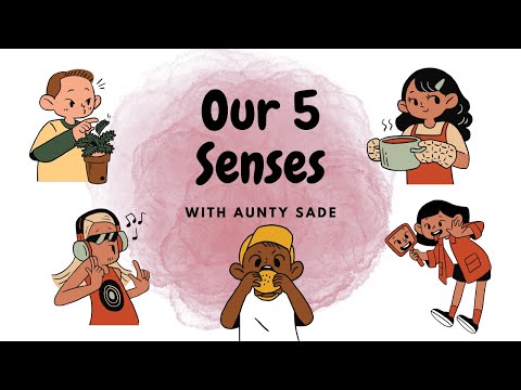 Our Five Senses || Circle Time Education || Mon 27/06/22.