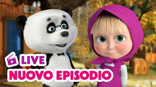 🔴 LIVE! Masha e Orso 👱‍♀️🐻 Nuovo episodio 🐼🤷‍♀️ Cartoni animati per bambini