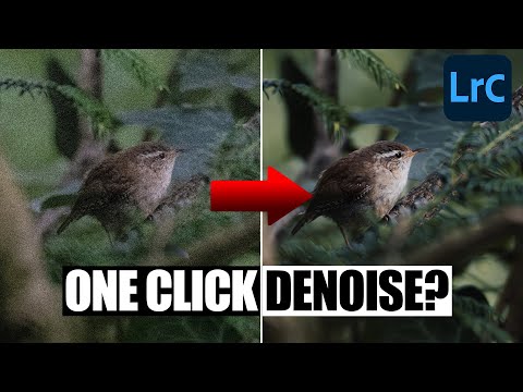 How Good is the NEW AI DENOISE in LIGHTROOM? | Tutorial Tuesday