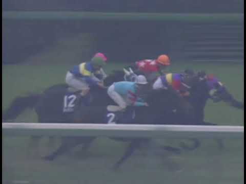 ヤマニンゼファー 1992年 第26回スプリンターズステークス(GI) (優勝馬：ニシノフラワー)