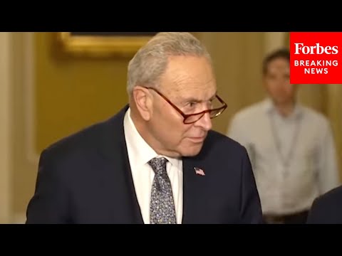 Schumer Asked: 'Are You Concerned About Pete Hegseth?'