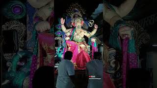 Ganpati bappa morya #bappa #ganpatibappamorya #festival #ganpaticelebration #ytshorts #dance #parel