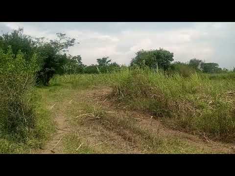 10 ACRES OF LAND FOR SALE