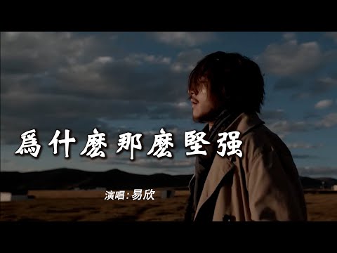 易欣 《为什么那么坚强》 「一人睡觉起床，全世界仍匆忙，唯缺你的肩膀；那所有的阳光，有再多的芬芳，也是流浪」 【动态歌词 Lyrics】