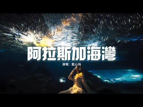 藍心羽 - 阿拉斯加海灣（原唱：菲道爾）『上天啊 難道你看不出我很愛她，怎麼明明相愛的兩個人 你要拆散他們啊。』【動態歌詞MV】