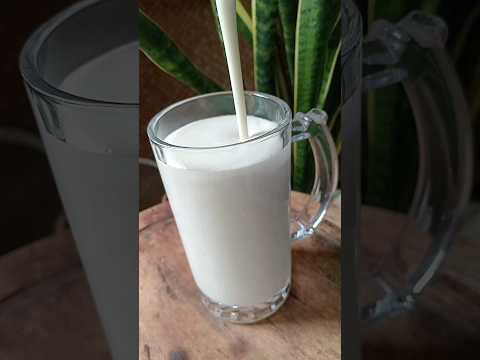 Lassi ! Thirsty November 06 !Check the channel for the full recipe ! @MyDroolingsRecipes