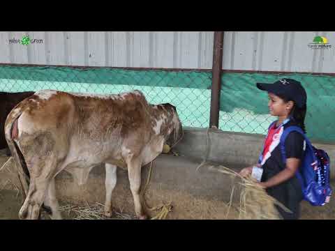 Planet Green's - Farm Natura School Children Farm Visit