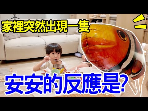 當家裡突然出現一隻小丑魚 安安會有什麼反應呢？ - 恩恩老師 EanTV