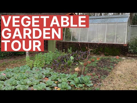 The Sweetest Garden & Greenhouse You Could Hope For