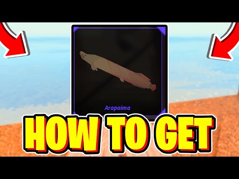 How To CATCH ARAPAIMA In Fisch! Roblox (Arapaima Location)