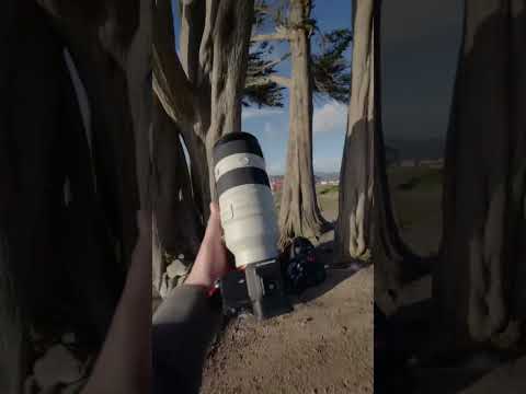 HIDDEN Location to Photograph the Golden Gate Bridge #shorts