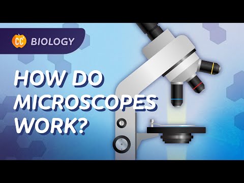 Microscopes: How We See What We Can't See: Crash Course Biology #22