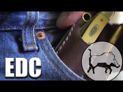 Quick Sunday EDC Video 🤠🍻 Case, Fisher, Spyderco, $50