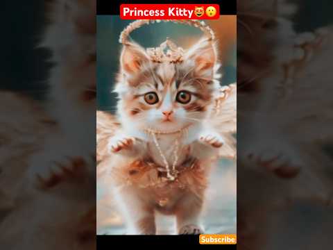 E32: Cat dance lCute kitten 😻#cat #lovecats #cats#catvideos #kittens #catlover