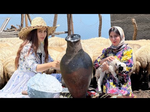 Oven cooking! Baking bread and grilled chicken in a nomadic village.