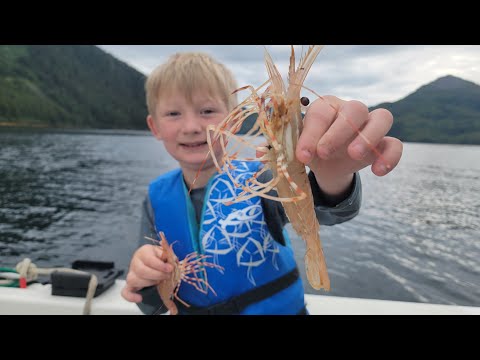 3 Days Shrimping, Fishing & Camping Alaska