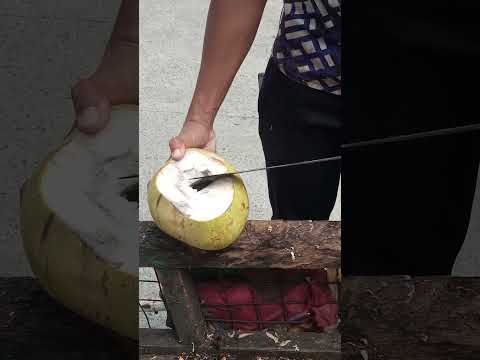 new style of cutting coconut Asmr #satisfying #cuttingskils #streetfood #youtubeshorts #Gatchie Jr