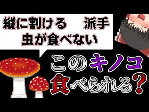 毒キノコの見分け方の検討【ゆっくり解説】