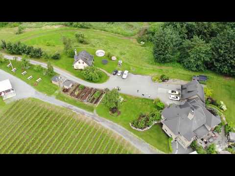 DJI Mavic Air - test at Singletree winery