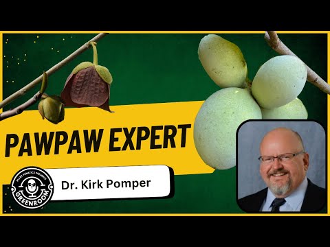 All About Pawpaw: Growing, Harvesting, and Eating America’s Forgotten Superfruit | Dr. Kirk Pomper