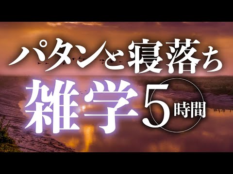 【睡眠導入】パタンと寝落ち雑学5時間【合成音声】