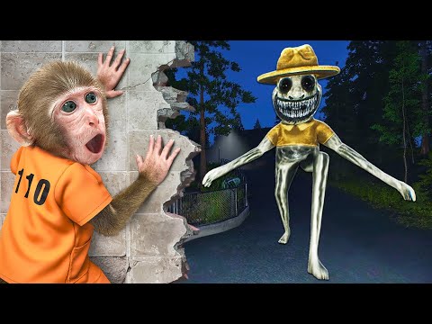 KiKi Monkey escape from Prison & Zoonomaly Monster at Watermelon pool with Duckling|KUDO ANIMAL KIKI