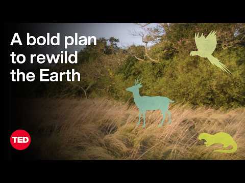 A Bold Plan to Rewild the Earth — at Massive Scale | Kristine McDivitt Tompkins | TED