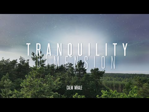 Tranquility Dimension 🌌 Tibetan bowls & RAV Mindfulness Relaxing Meditation