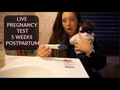 Taking a Pregnancy Test 5 Weeks Postpartum!