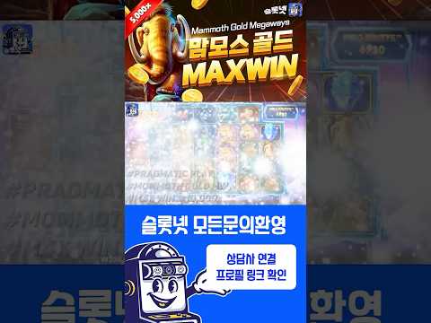 Pragmatic SLOT - [슬롯실시간] 맘모스 골드 메가웨이즈 - Mammoth Gold Megaways [온라인슬롯]