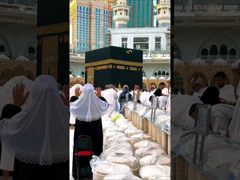 ZAMZAM BEST WATER IN THE WORLD #makkah #masjidalharam #trendingreels  #shorts #masjidilharam #zamzam