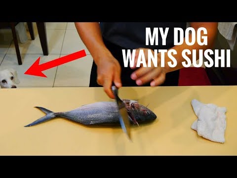 My Dog and Sushi (Behind the Scene)