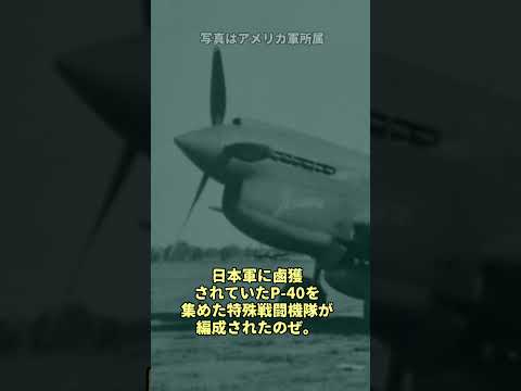 日本陸軍P-40戦闘機隊#戦史 #ゆっくり解説  #ww2