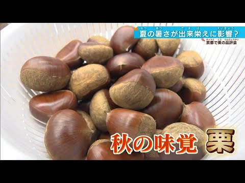 【秋の味覚が気になる】記録的猛暑のあとの「秋」  紅葉や農作物への影響は？＜近畿の週間予報＞