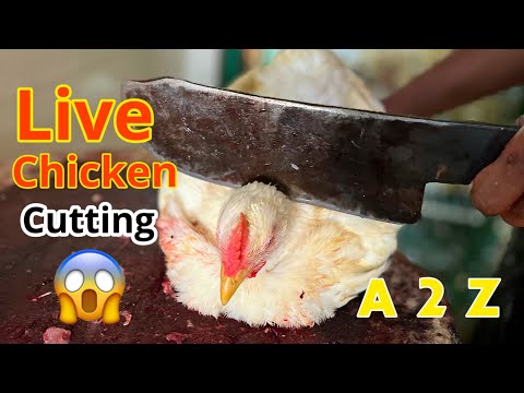 Live Chicken Cutting | chicken cutting skills | desi murga kase Kate | Siraj chicken |