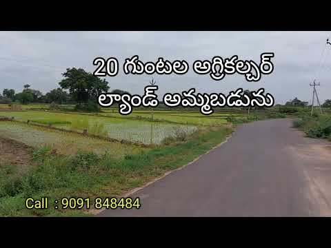 20 గుంటల అగ్రికల్చర్ ల్యాండ్ అమ్మబడును // Hasanparthi  // Hanamkonda