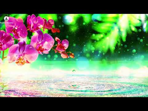 CALMING RELAXING MUSIC FOR STUDY & RELAX: SOOTHING MUSIC, PEACEFUL MUSIC, RELAXATION MUSIC, HEALING