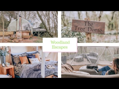 OUR WOODLAND ESCAPES TREE DOME STAY | LUXURY GLAMPING | UNITED KINGDOM | *GIFTED STAY*