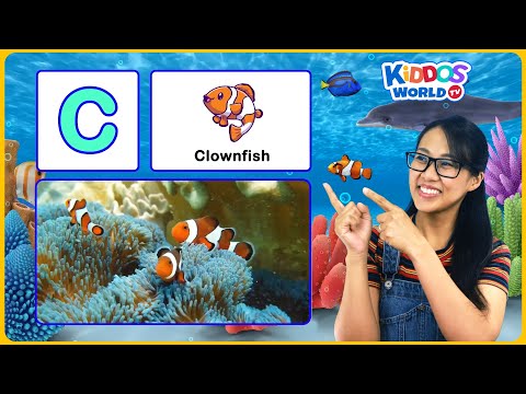 ABC Sea Animals Names A-Z for Children - Learn Alphabet with Miss V and Sea Animal Trivia